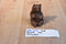 Red Mill Sitting Bear Pecan Shell 1991 Figurine