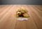 Russ Yomiko Golden Retriever Beanbag Plush