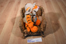 Disney World Animal Kingdom Safari Tigger Plush