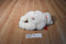 Ty Classic Romeo the White Bear with Red Heart 1997 Beanbag Plush