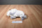 National Buffalo Museum White Cloud the Albino Bison Plush