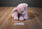 Aurora Floppy Pink Pig Plush