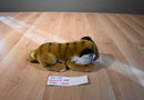 K & M Bengal Tiger 2005 Beanbag Plush