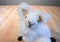 Dakin Lima the Llama Alpaca White 1993 Plush