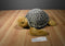 Fiesta Sea Turtle Grey and Brown Plush