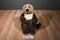 Dakin Lou Rankin Friends Oliver Sea Otter 2000 Plush