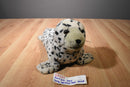 K & M Grey Spotted Seal 2005 Beanbag Plush