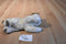 Target Siamese Cat Plush