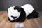 Aurora Large Panda Xie Xie Plush