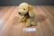 Ty Classic Tugs Tan Spaniel/ Retriever Dog 2003 Beanbag Plush