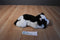 Aurora Flopsies Holstein Cow Beanbag Plush