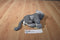 Ganz Webkinz Charcoal Cat HM152 Beanbag Plush Sealed Code