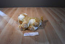 Aurora Babies Lion Cub Beanbag Plush