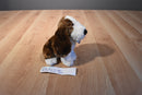 Golden Bear Company Basset Hound Beanbag Plush