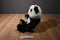 Build a Bear Panda Plush