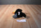 Ganz Webkinz Toco the Toucan HM223 Beanbag Plush Sealed Code