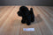 Douglas Bear Black Lab #1726 Plush