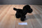 Douglas Bear Black Lab #1726 Plush