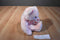 Ty Classic Blushing Pink Teddy Bear with Hearts 2003 Beanbag Plush