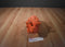 Manhattan Toy Orange Triceratops Dinosaur 2016 Beanbag Plush