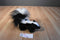 Douglas Striper the Skunk # 4117 Plush