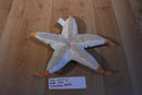 Fiesta Green and Orange Starfish Plush