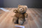 Commonwealth Brown Teddy Bear Plush