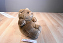 Commonwealth Brown Teddy Bear Plush