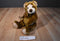 Ty Classic Griddles Brown Bear 2003 Beanbag Plush