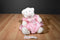 Build a Bear White and Pink  Bear Beanbag Plush in a Pink Dress