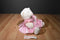 Build a Bear White and Pink  Bear Beanbag Plush in a Pink Dress