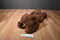 A&A People Pals Brown Bear Plush