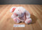 24K Polar Puff Portia the Pink Pig 1993 Plush