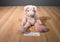 Russ Pigmallion Pink Pig Beanbag Plush