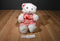 Build a Bear White and Pink Bear Plush Wearing Red Checkered Dress