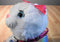 Poochie & Company White Cat With Rainbow Sequin Body Purse Bag