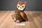 Wild Republic Great Horned Owl 2017 Beanbag Plush