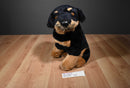 FAO Schwarz Rottweiler Plush