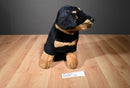 FAO Schwarz Rottweiler Plush