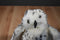 Folkmanis Snowy Owl 2014 Puppet