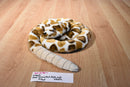 Wishpets Brown and White Diamond Back Rattle Snake Plush