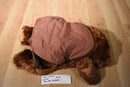 Unipak Brown Bear Plush Backpack