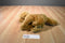 Animal Alley Golden Retriever 2000 Beanbag Plush