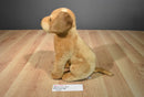 Circo Brown Lab Puppy Dog 2010 Plush