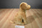 Circo Brown Lab Puppy Dog 2010 Plush