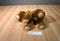 Kohl's Eric Carle Brown Bear 2008 Plush