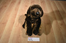 Animal Alley Chocolate Lab Beanbag Plush