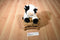 Aurora Holstein Black and White Cow Beanbag Plush