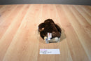 Ganz Webkinz Brown Chimpanzee HM172 Sealed Code