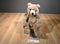 Aurora Humphrey Taupe Colored Bear 2019 Beanbag Plush